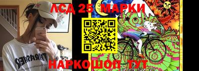 спиды Дубна