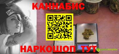 спиды Дубна