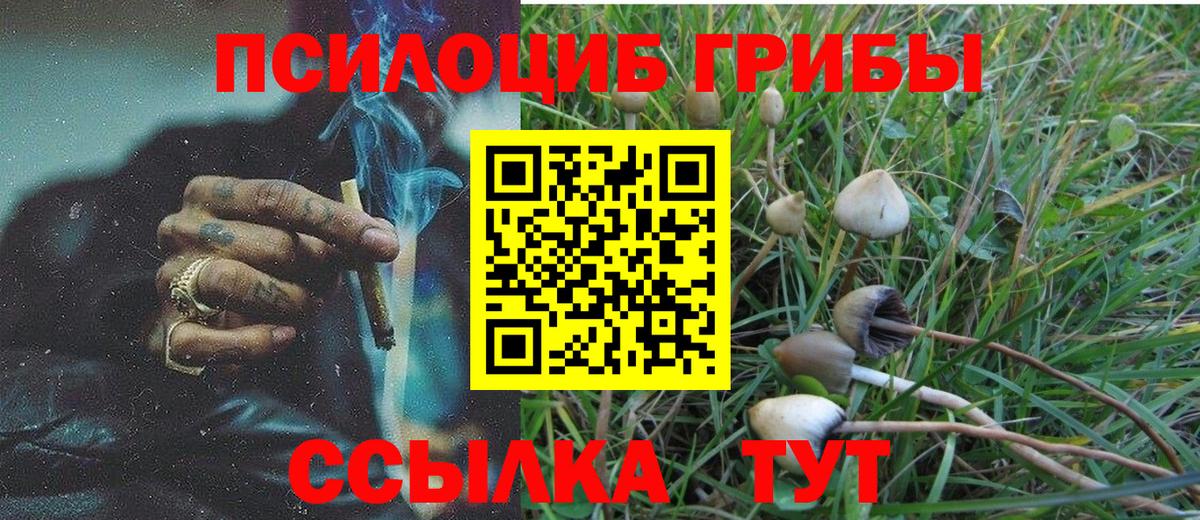 Галлюциногенные грибы MAGIC MUSHROOMS  Галлюциногенные грибы Psilocybe  Вход с VPN  Биробиджан 